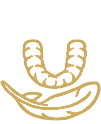 Dental aligners set showcasing custom-made transparent trays designed for gradual teeth alignment, emphasizing discreet orthodontic treatment and smile improvement.